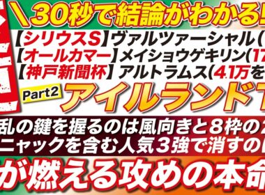 🎯30秒で結論がわかる→【アイルランドトロフィー 2026 予想】波乱の鍵は８枠が握る？カムニャックを含む人気３強で消すのは？！魂が燃える攻めの本命とは？