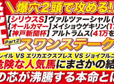 🎯爆穴２頭で攻める→【スワンステークス 2026 予想】オフトレイル VS エリカエクスプレス VS ジョイフルニュースなど！危険な人気馬にまさかの結論！体の芯が沸騰する本命とは？