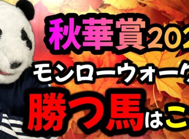 秋華賞2026勝ち爆穴馬の掟🎖️直近5年で好走した勝ち馬と爆穴馬全頭が持つ【とある共通点を暴露🐼】1強の馬が見つかりました🐼