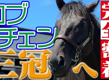 ロブチェン 三冠制覇へ！菊花賞までの5ヵ月に完全密着！【テレ東 配信限定】