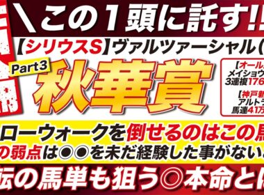 🎯魂の結論→【秋華賞 2026 予想】モンローウォークを倒せるのはこの馬だ！唯一の弱点は◉◉を未だ経験した事がないこと？逆転の馬単も狙う◎本命とは？