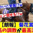 【菊花賞】【朗報】あの馬の調教が最高潮すぎる!?www