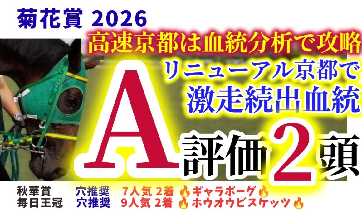 【菊花賞2026】ロブチェンの推しは高速適性！リニューアル京都で明確な血統傾向！高速京都を血統分析で徹底攻略！【競馬予想】