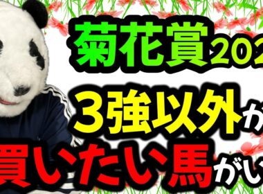 菊花賞026勝ち爆穴馬の掟🎖️直近5年で好走した勝ち馬と爆穴馬全頭が持つ【とある共通点を暴露🐼】1強の馬が見つかりました🐼