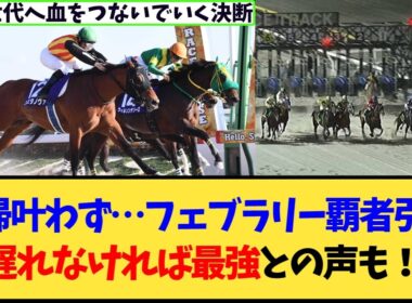 【引退】フェブラリーS連覇のコスタノヴァが電撃引退＆種牡馬入りへ…復帰叶わず下した苦渋の決断にファンから惜別と感謝の声