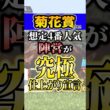 今回が究極の仕上がりの馬とは? #shorts #菊花賞 #競馬