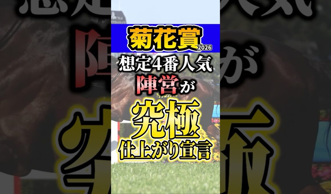 今回が究極の仕上がりの馬とは? #shorts #菊花賞 #競馬