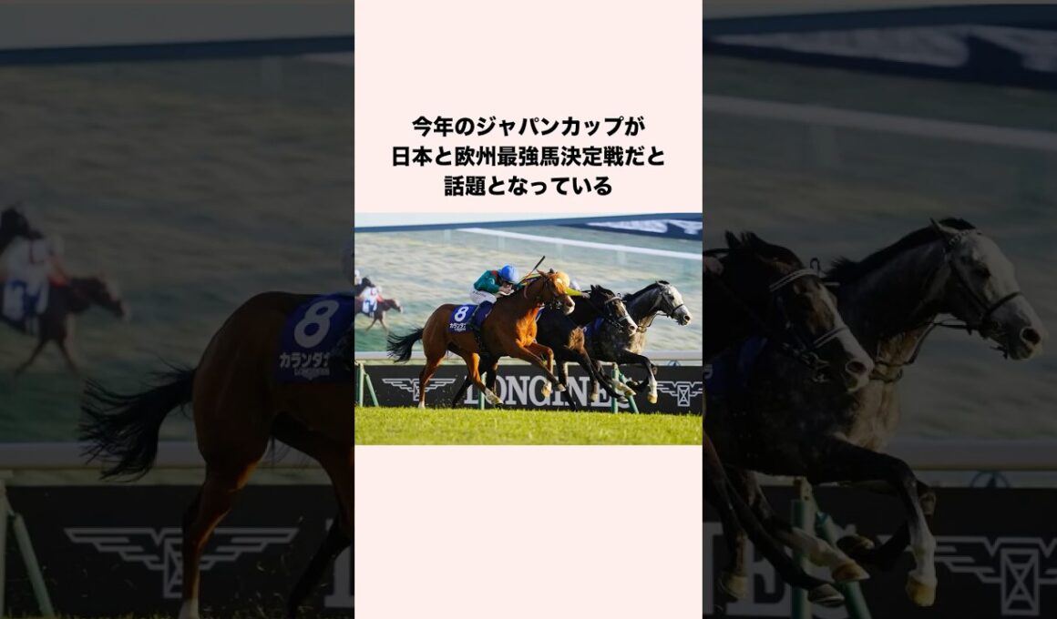 今年のジャパンカップが日本と欧州最強馬決定戦だと話題となっている #競馬 #競馬予想 #shorts