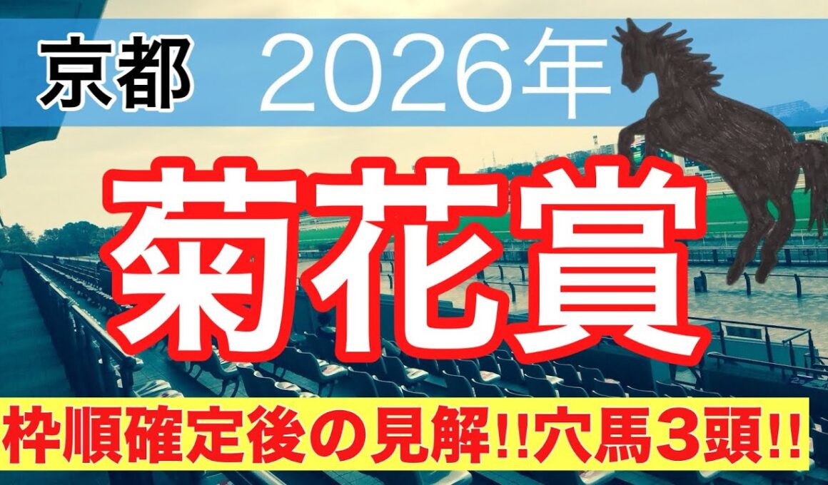 【菊花賞2026】蓮の競馬予想(枠順確定後見解と穴馬3頭)
