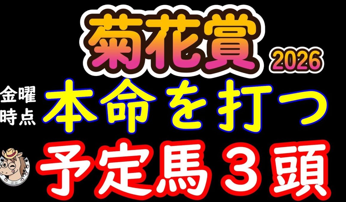 菊花賞2026 本命候補から次々脱落！18頭から最後まで生き残る3頭は？ロブチェン三冠を脅かす馬
