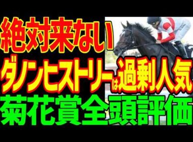 【菊花賞ロブチェンは3冠確実？】ダノンヒストリーは絶対に来ない！ルメールは毒饅頭！出資愛馬バステールは勝てるかもしれない！ゴーイントゥスカイ武豊は？2026年菊花賞全頭評価動画【競馬ゆっくり】