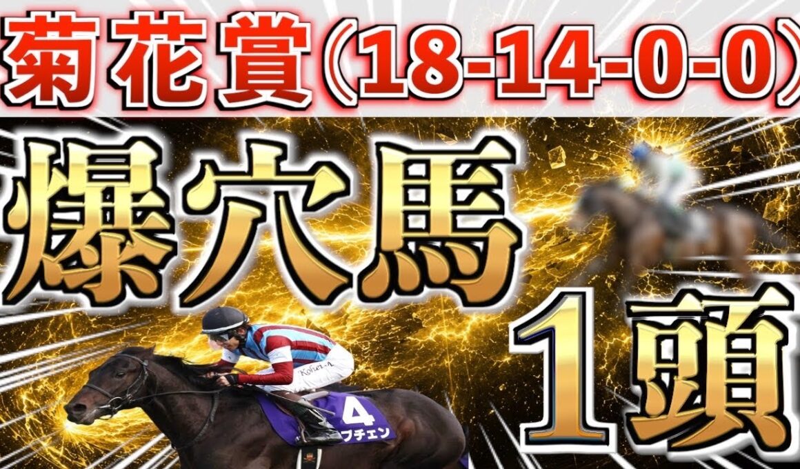 【菊花賞2026 予想】また大穴ブチ抜く◉全条件パーフェクト馬を狙い撃つ‼️【競馬予想】