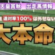 【天皇賞秋 2026 出走馬情報】東京全５戦、連対率100％は外せない!?東京"大本命馬"！