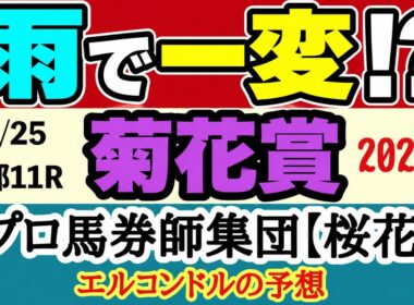 菊花賞2026 エルコンドル氏の最終予想｜ロブチェン三冠なるか？雨の京都芝3000mで浮上する穴馬・伏兵は？【競馬予想】