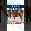 【天皇賞(秋)2026 事前注目馬】6歳でも今が充実期！トーセンジョーダンのような勢いを感じるこの馬体に注目