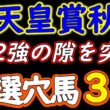 天皇賞秋2026 穴馬3頭を厳選！人気は飾り？クロワデュノール・マスカレードボール・ダノンデサイル・レガレイラに割って入る伏兵