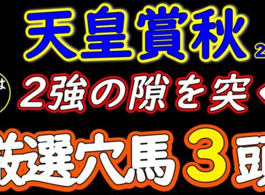天皇賞秋2026 穴馬3頭を厳選！人気は飾り？クロワデュノール・マスカレードボール・ダノンデサイル・レガレイラに割って入る伏兵